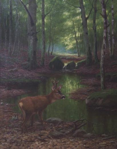 Anton MÖTSCH (1869 - 1940) Brocard en forêt Huile sur toile signée en bas à gauche...