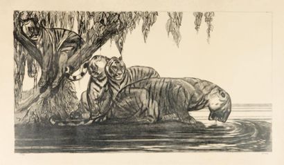 Paul JOUVE (1878 - 1973) Tigres s'abreuvant. 1937 Lithographie sur Japon. Épreuve...