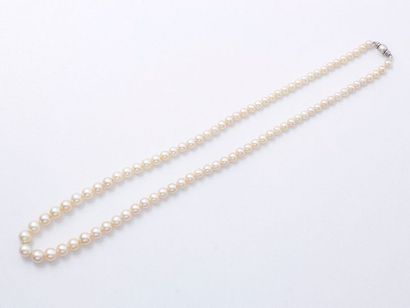 null Collier composé d'une chute de perles fines d'environ 3.7 à 6.4 mm. Il est agrémenté...