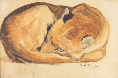 Philippe Albin de BUNCEY (1905-1978) Renard endormi
Aquarelle, signée en bas à droite
36...
