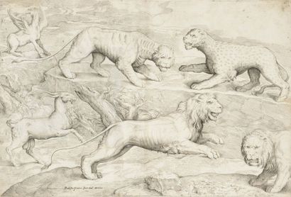 Giovanni Battista FRANCO (1498-1561). Figure de lions d’après l’antique.
Eau-forte...