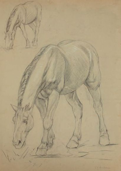 John Lewis SHONBORN (1852-1931) Études de chevaux
Deux dessins au crayon noir, rehaussé...