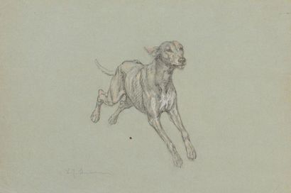 John Lewis SHONBORN (1852-1931) Portrait de chiens
Deux dessins au crayon noir, un...