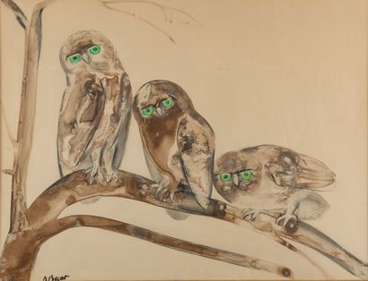 Raymond BIGOT (Orbec 1872-Equemauville 1953) Les trois chouettes branchées
Lavis...
