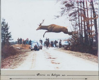 null Vénerie en Sologne
Reproduction d'un tirage photo montrant un cerf sautant une...
