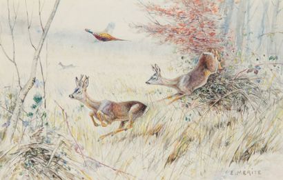 Edouard MERITE (1867 - 1941) La battue aux chevreuils
Paire d'aquarelles sur papier...
