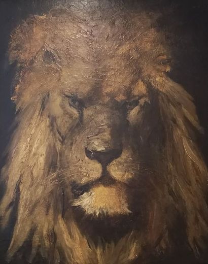 Gustace WERTHEIMER (1847 - 1902) Tête de lion
Huile sur toile encadrée. Signature...