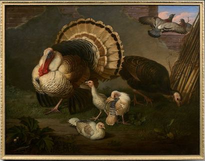 Wenceslaus PETER (Carlsbad 1745 - Rome 1829) Dindons et autres oiseaux dans une cour...