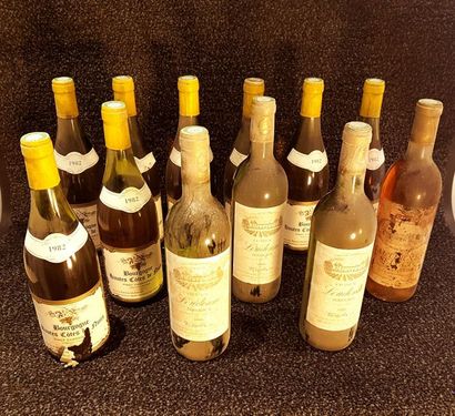 null Ensemble de 12 bouteilles: 8 bouteilles HAUTES-CÔTES-DE-BEAUNE "Pinot Chardonnay",...