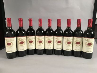 null 9 bouteilles SALENTO "Il Medaglione", Conti Leone de Castris (rouge)