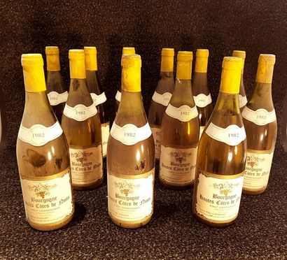 null 12 bouteilles HAUTES-CÔTES-DE-BEAUNE "Pinot Chardonnay", Patrick Hudelot 1982...