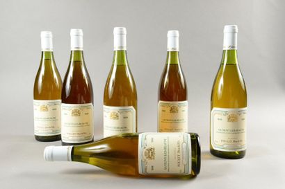 null 12 bouteilles SAVIGNY-LÈS-BEAUNE Poulet 1988 (6 LB, dont 1 très foncée)