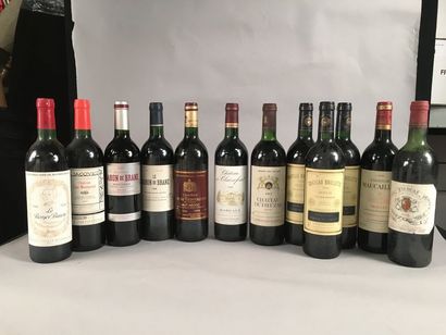 null Ensemble de 12 bouteilles: 1 bouteille Château FIEUZAL, Pessac-Léognan 1983,...