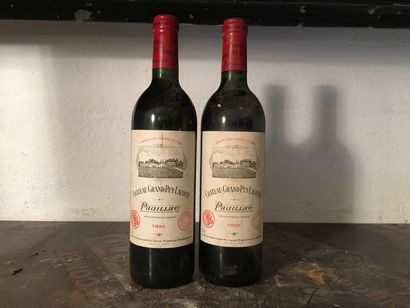 null 2 bouteilles Château GRAND-PUY-LACOSTE, 5° cru Pauillac 1993 (es, elt)