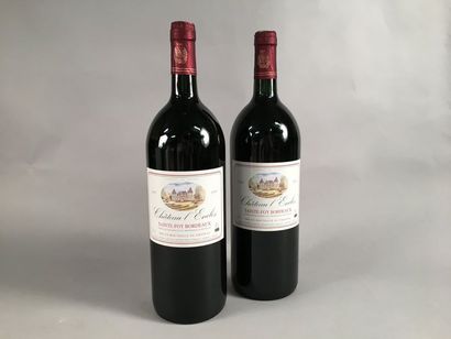 null 4 magnums Château L'ENCLOS, Ste-Foy Bordeaux 1995