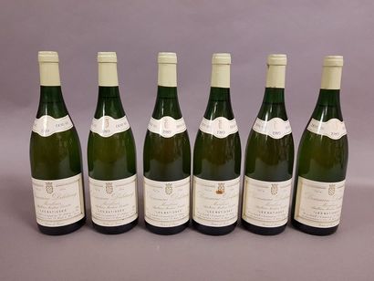 null 6 bouteilles MONTLOUIS "Les Batisses,", Deletang 1989 (demi-sec)