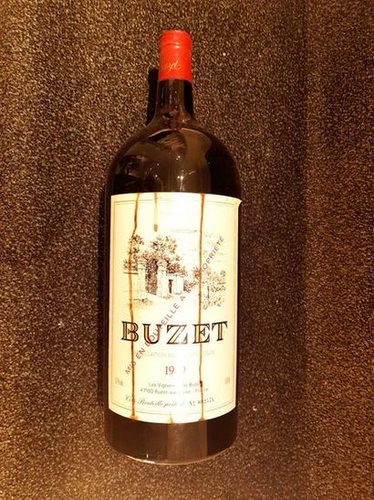 null 1 BUZET Les Vignerons de Buzet 1989 (5l, J, et taches de coulures)