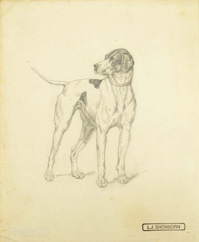 John Lewis SHONBORN (1852-1931) Portrait de chiens
Deux dessins au crayon noir, un...
