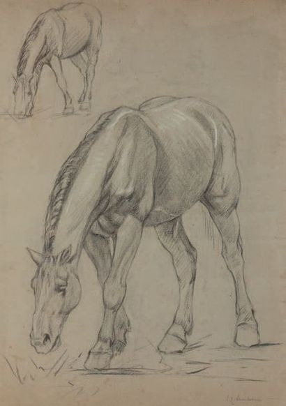 John Lewis SHONBORN (1852-1931) Études de chevaux
Deux dessins au crayon noir, rehaussé...