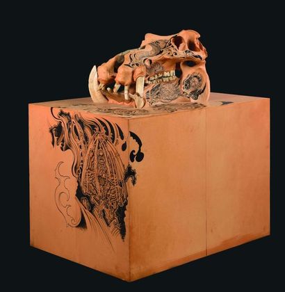 null Philippe PASQUA (Né en 1965)
Crâne d’hippopotame 
Peau et résine
125 x 84 x...