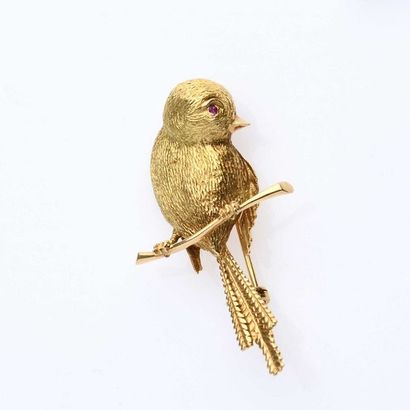 null Broche oiseau posé sur une branche en or jaune 18K (750°millièmes), le plumage...