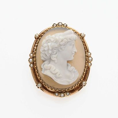 null Broche pendentif camée sur coquille, représentant un buste de femme en serti...