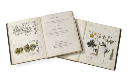 null CHSHEGLOV, Nicolas. Description des plantes. St. Pétersbourg, 1828. 2 vol. in-4,...