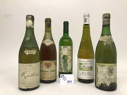 null 5 Bout. Lot de 5 bouteilles : Montlouis Sec 1980 - Sancerre 1976 - Muscadet...