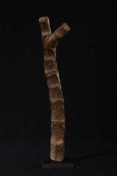 null DOGON (Mali). Echelle miniature en bois 35cm    