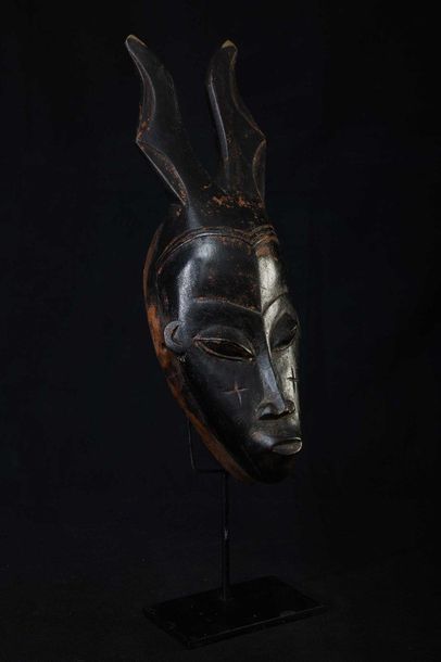 null GOURO (Côte d'ivoire) Masque zoomorphe à patine noire. Usures 35cm    
