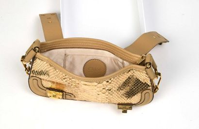 null CHLOE : petit sac du soir en python doré métallisé et cuir naturel, double fermeture...