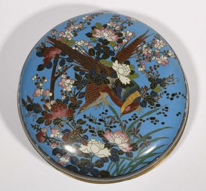 null JAPON - Epoque MEIJI (1868 - 1912) Boîte de forme lenticulaire en bronze doré...
