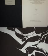 null Eduardo PALAZUELO " Derrière le Miroir " 1978 luxury edition on vellum, signed...