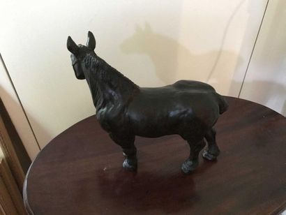 null Damien COLCOMBET Filly Bronze with brown patina Signed, dated 2016, founder's...