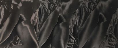 null Renan POLLES (1943-2019) Tryptique de nu féminin, circa 2010. 23,5 x 53 cm