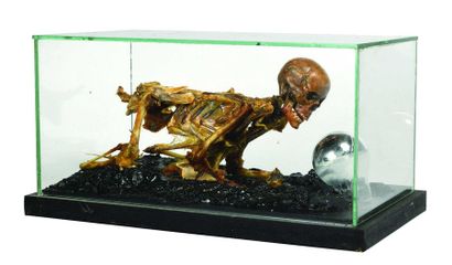 null Renan POLLES (1943-2019) Narcissus, 2017 Bone, glass in blackened wooden case....