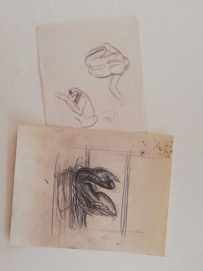 null DECARIS Albert Swan and Monkey Set of 2 drawings on paper. Unsigned 25 x 32...