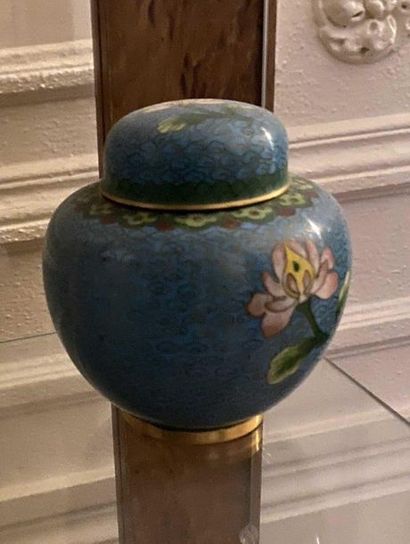 null Pair of baluster vases covered in cloisonné enamels with flower decoration.