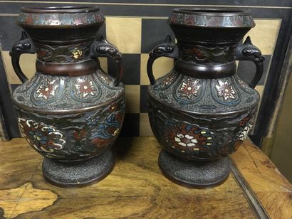 null CHINE Paire de vases en bronze à décor en émail cloisonné de fleurs, deux anses...