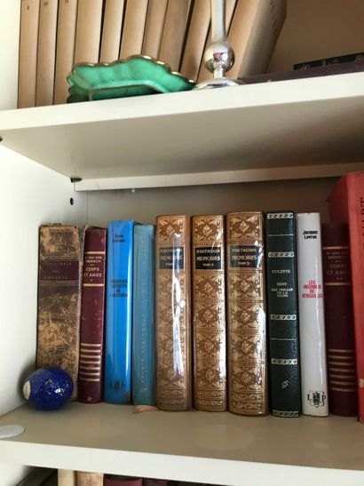 null Lot de livres reliés et broché XIXème et moderne : littérature diverse, livres...