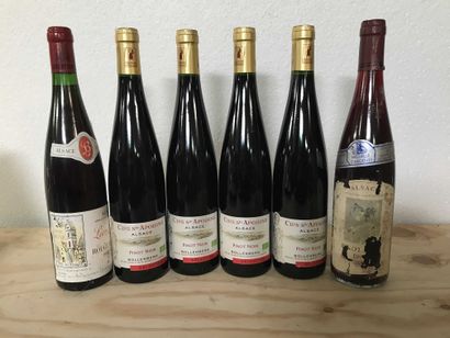 null 6 bout. Léon Beyer, clos Saint Apolline bollenberg, Alsace Pinot noir [Lot conservé...