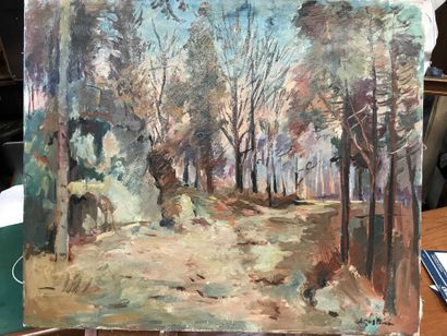 null Max AGOSTINI Sous-bois Oil on canvas signed lower right 46x55cm [LOT STOCKE...