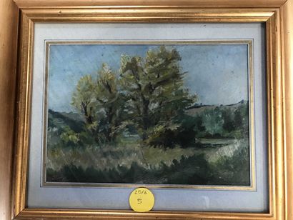 null Early 20th century school Oil on cardboard, dated on the back 1909 17 x 25 cm...