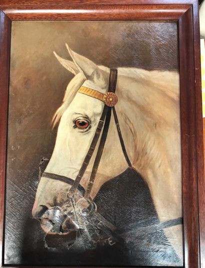 null Ecole française du XIXe siècle Portrait de cheval blanc Huile sur toile non...