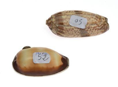 null 19 Two small boxes in the shape of a shell, one with a monogrammed silver setting,...
