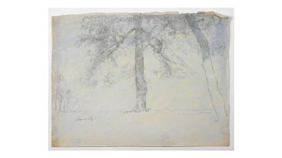 null Paul CHMAROFF (1874-1950) Etude d’arbres Fusain sur papier kraft 31,5 x 16,...
