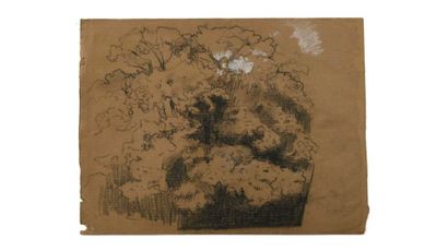 null Paul CHMAROFF (1874-1950) Sous-bois Fusain et craie blanche sur papier kraft...