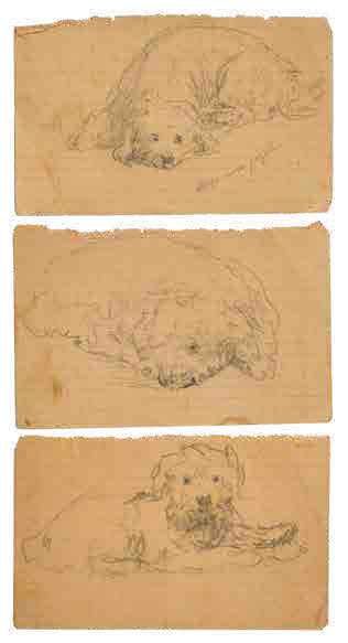 null Paul CHMAROFF (1874-1950) Etudes de chiens 3 dessins au crayon, annotations...