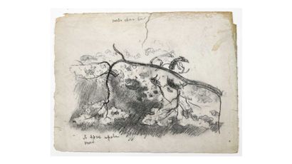 null Paul CHMAROFF (1874-1950) Etude d’arbres Fusain sur papier kraft 31,5 x 16,...