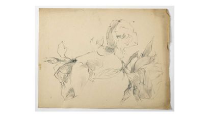 null Paul CHMAROFF (1874-1950) Etude d’arbre Crayon noir et sanguine sur papier,...